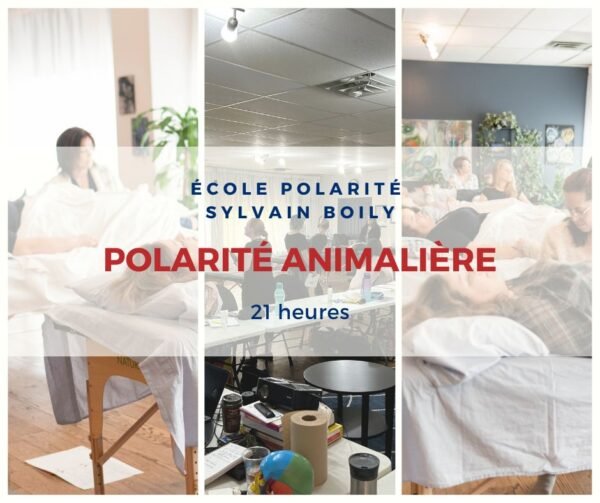 Polarité Animalière
